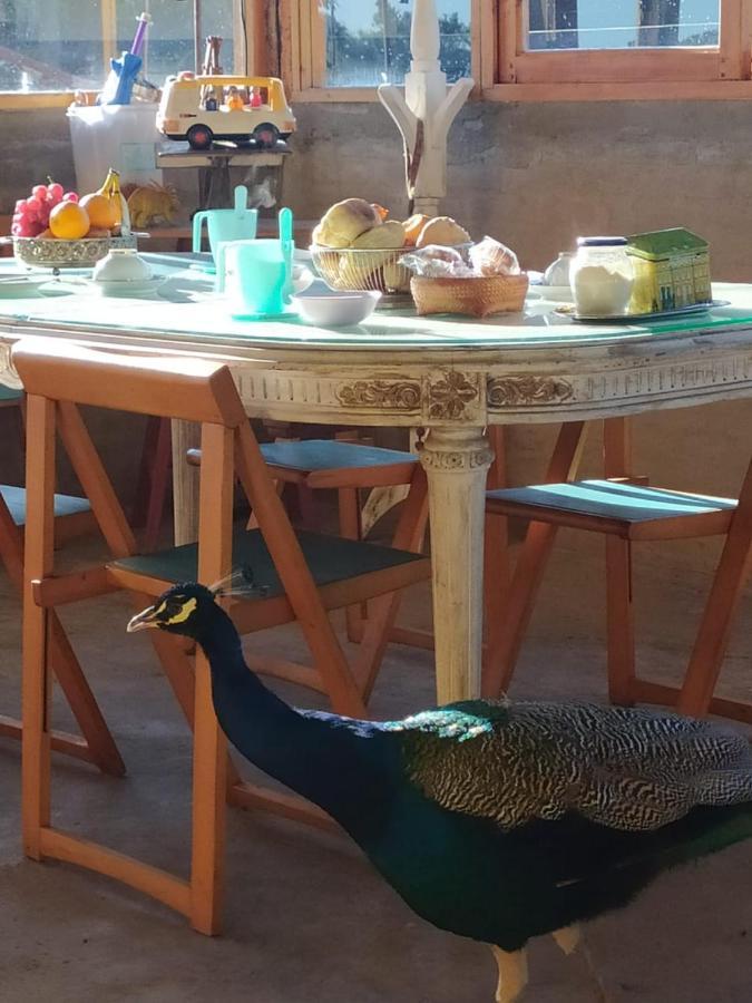 Finca La Pasionaria - Conectandonos Villa Belen de Escobar Ngoại thất bức ảnh