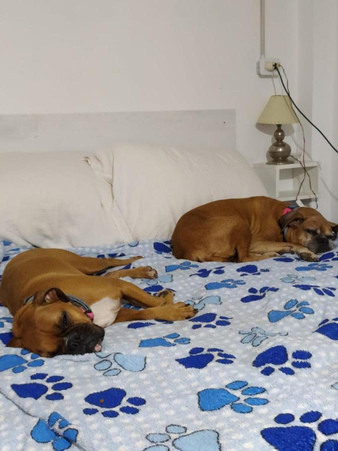 Finca La Pasionaria - Conectandonos Villa Belen de Escobar Ngoại thất bức ảnh
